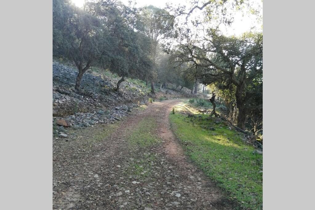 Pantano de Cijara Casa Cijararural 빌라 외부 사진
